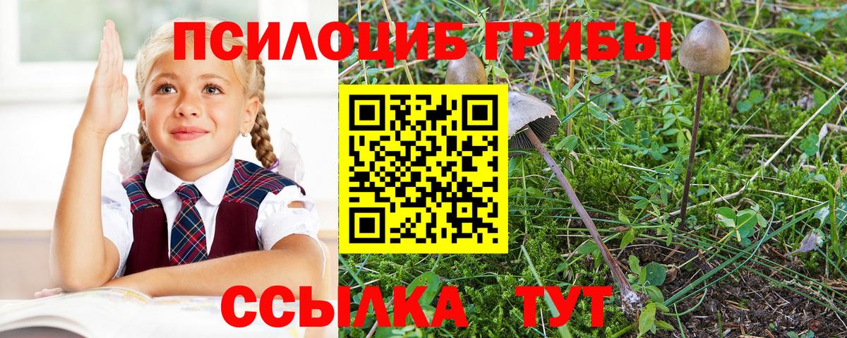 Петропавловск-Камчатский  Псилоцибиновые грибы Psilocybe  Вход с VPN 